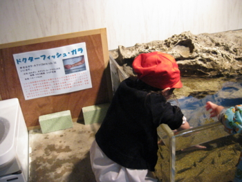 f:id:bunny114:20100802043422j:image f:id:bunny114:20100802043422j:image