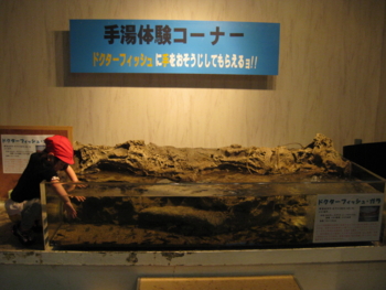 f:id:bunny114:20100802043424j:image f:id:bunny114:20100802043424j:image