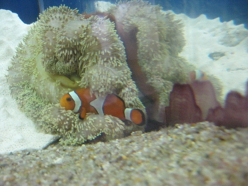 f:id:bunny114:20100802043426j:image f:id:bunny114:20100802043426j:image