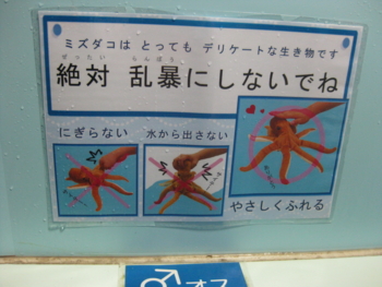f:id:bunny114:20100802043431j:image f:id:bunny114:20100802043431j:image