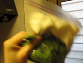 f:id:bunny114:20110305215020j:image f:id:bunny114:20110305215020j:image