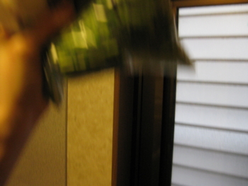 f:id:bunny114:20110305215021j:image f:id:bunny114:20110305215021j:image