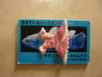 f:id:bunny114:20110517122837j:image f:id:bunny114:20110517122837j:image