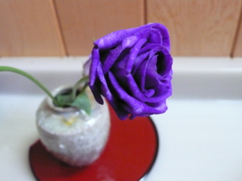 f:id:bunny114:20110517122838j:image f:id:bunny114:20110517122838j:image