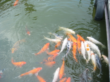 f:id:bunny114:20120419133408j:image f:id:bunny114:20120419133408j:image