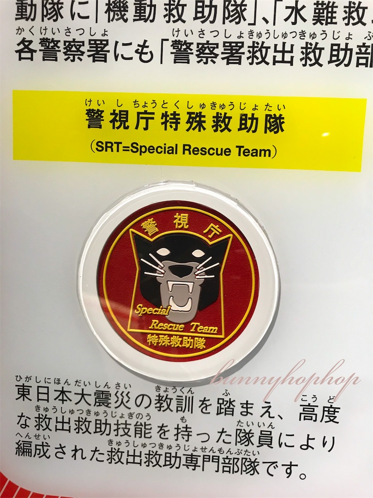 f:id:bunnyhophop:20190319021610j:image f:id:bunnyhophop:20190319021610j:image