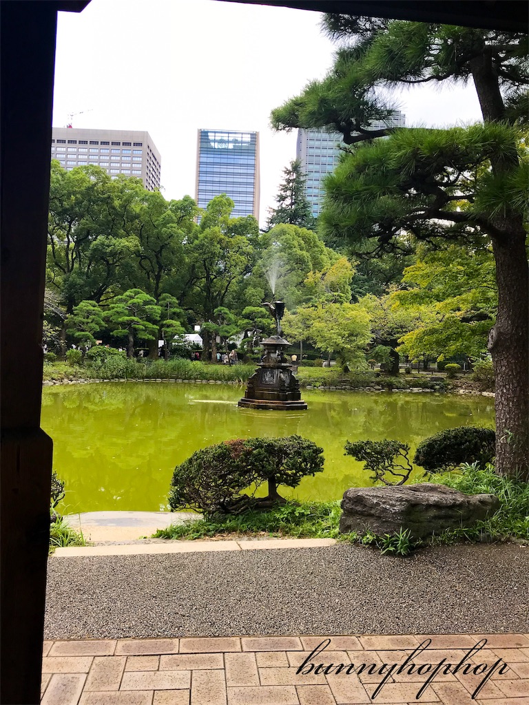 f:id:bunnyhophop:20190319021635j:image f:id:bunnyhophop:20190319021635j:image