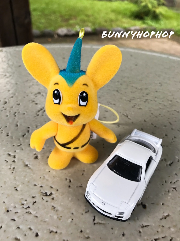 f:id:bunnyhophop:20190319021745j:image f:id:bunnyhophop:20190319021745j:image