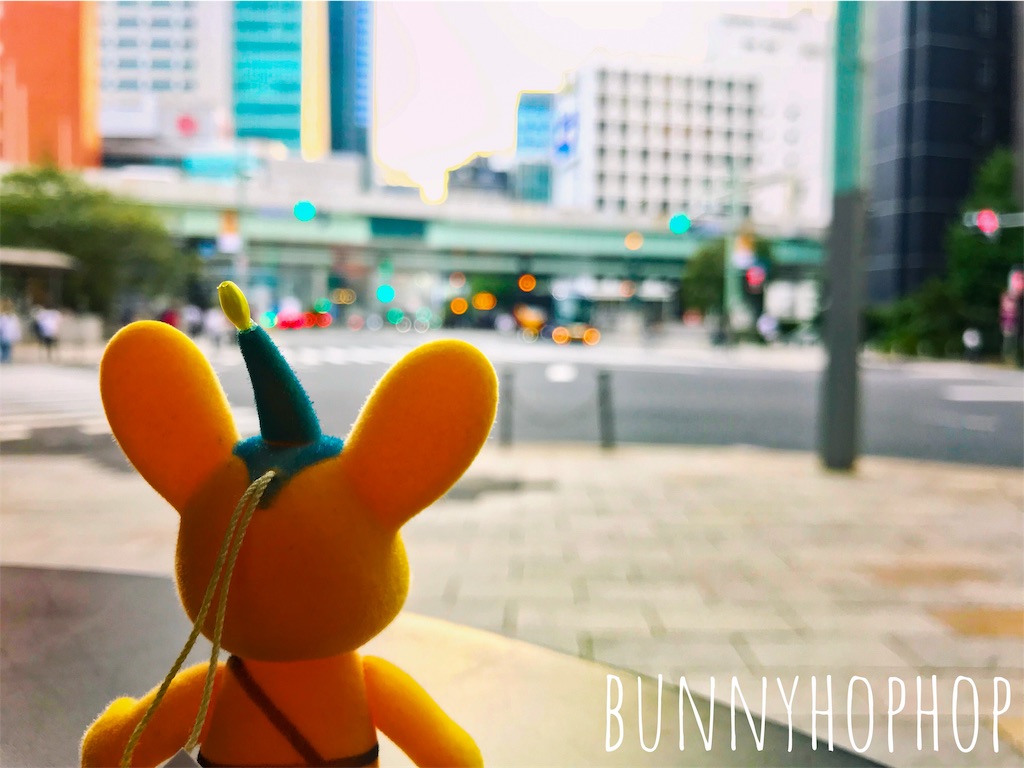 f:id:bunnyhophop:20190319021822j:image f:id:bunnyhophop:20190319021822j:image