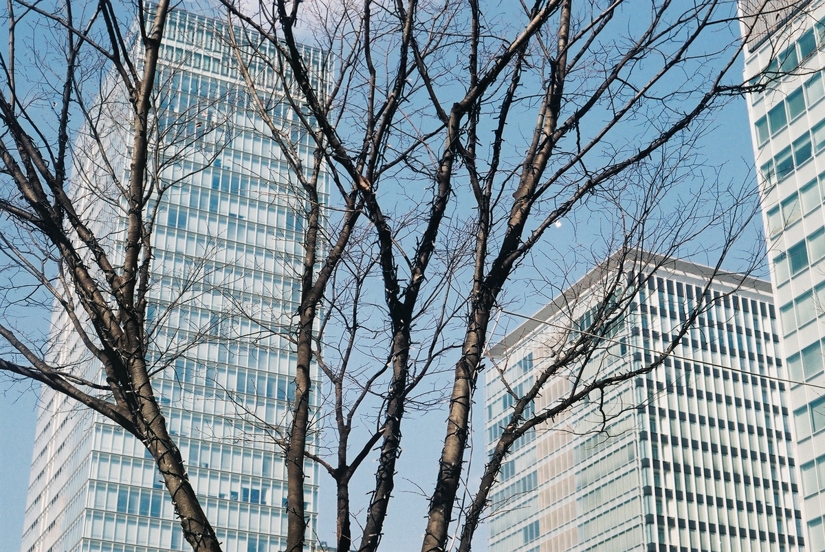 f:id:bunnyusami:20190331193910j:plain