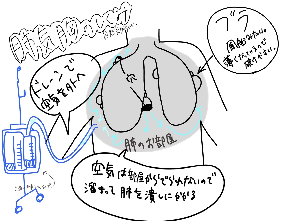 f:id:buno-mushi:20210704180618j:plain