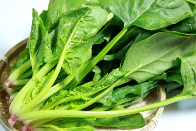 f:id:bunox:20190817235220j:plain f:id:bunox:20190817235220j:plain