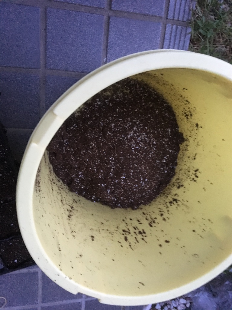 f:id:bunox:20190829233405j:image