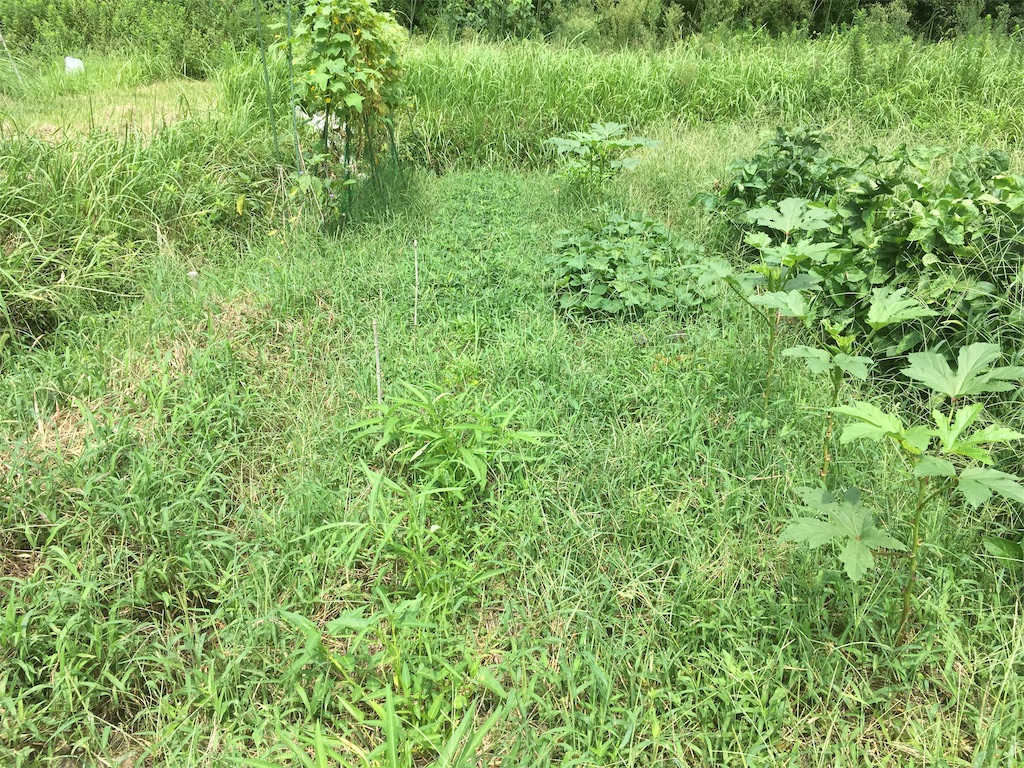 f:id:bunox:20190831162823j:image f:id:bunox:20190831162823j:image