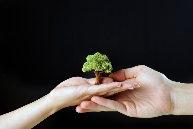 f:id:bunox:20190908221739j:plain f:id:bunox:20190908221739j:plain