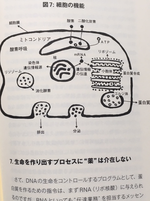 f:id:bunox:20190911221518j:plain f:id:bunox:20190911221518j:plain