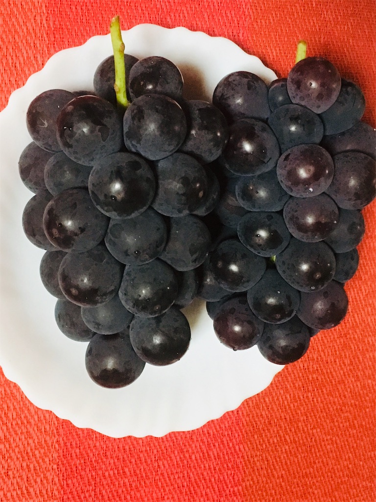 f:id:bunox:20190914202127j:image