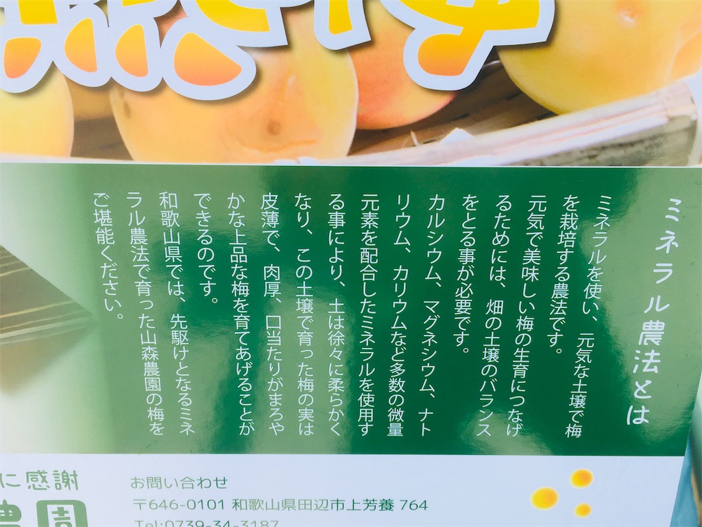 f:id:bunox:20190924002947j:image