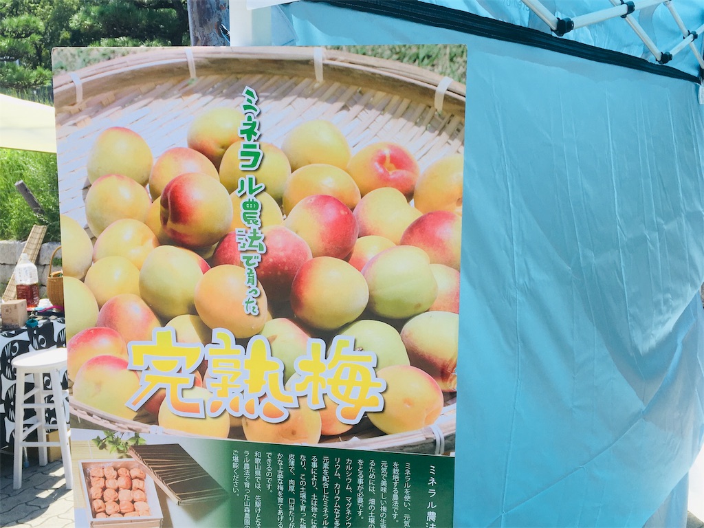 f:id:bunox:20190924002951j:image