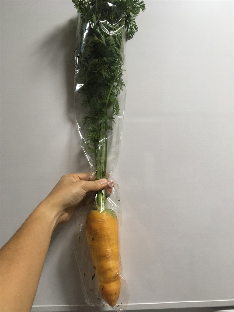 f:id:bunox:20191218215956j:image