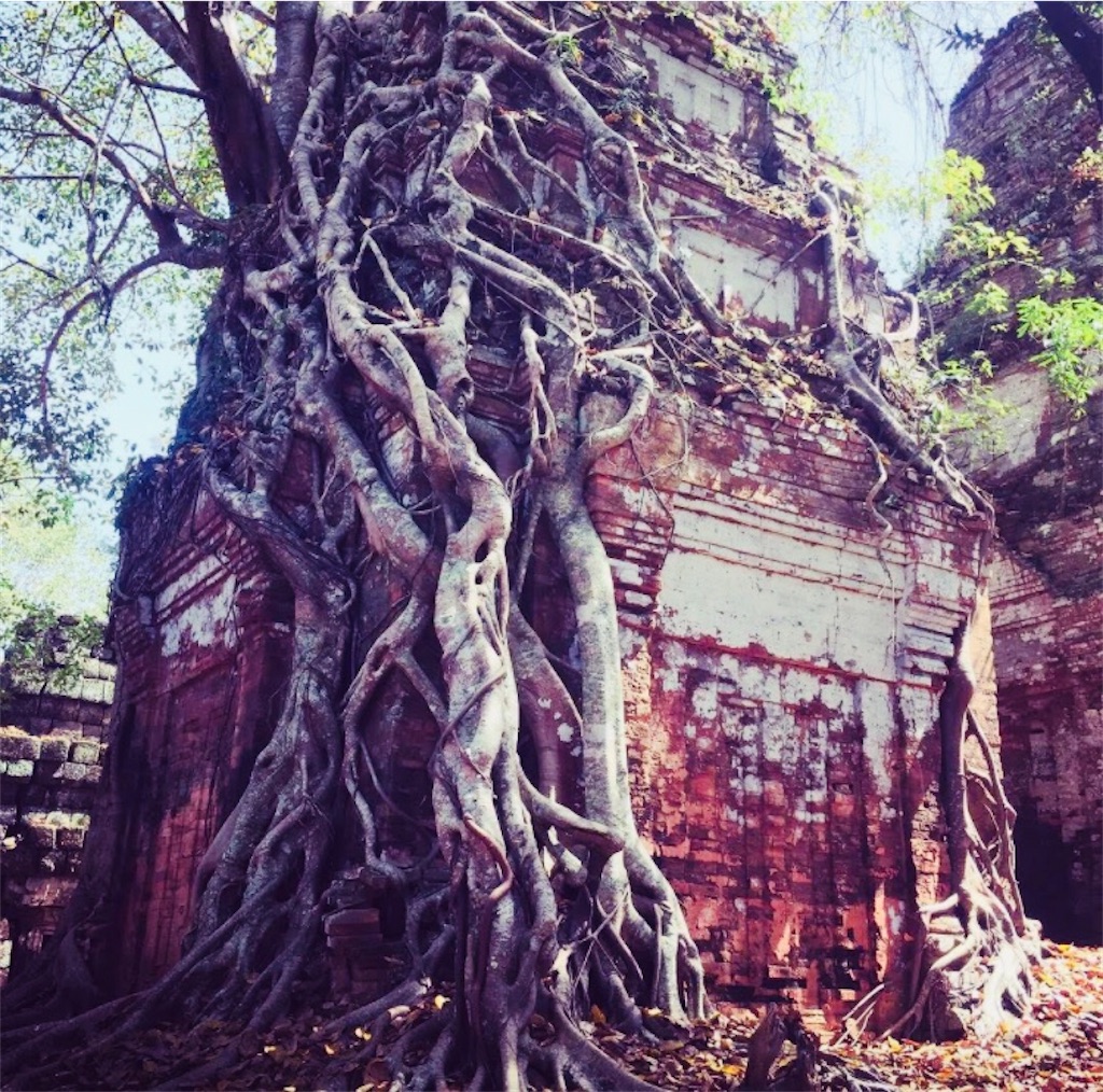 f:id:bunrath:20220630164034j:image f:id:bunrath:20220630164034j:image