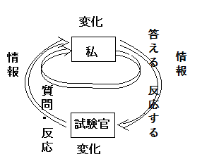 イメージ 7