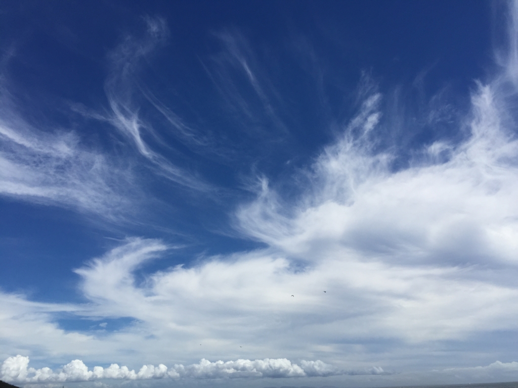 f:id:bunta1004:20161231230910j:plain f:id:bunta1004:20161231230910j:plain