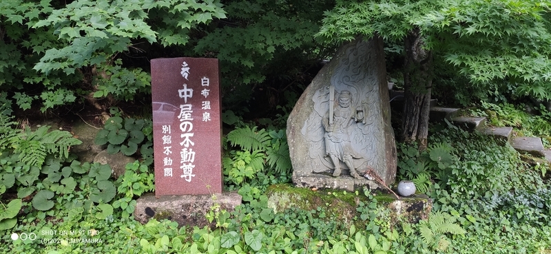 f:id:bunya-tamaki:20200920181536j:plain