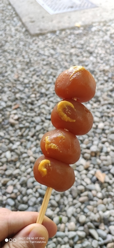 f:id:bunya-tamaki:20200920182601j:plain