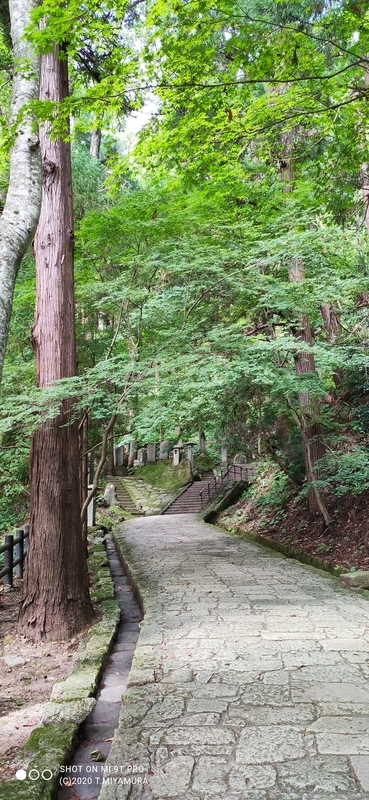 f:id:bunya-tamaki:20200920183008j:plain