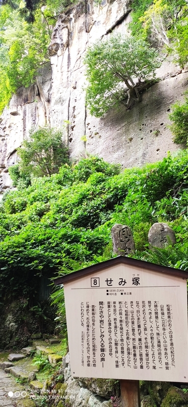 f:id:bunya-tamaki:20200920183218j:plain