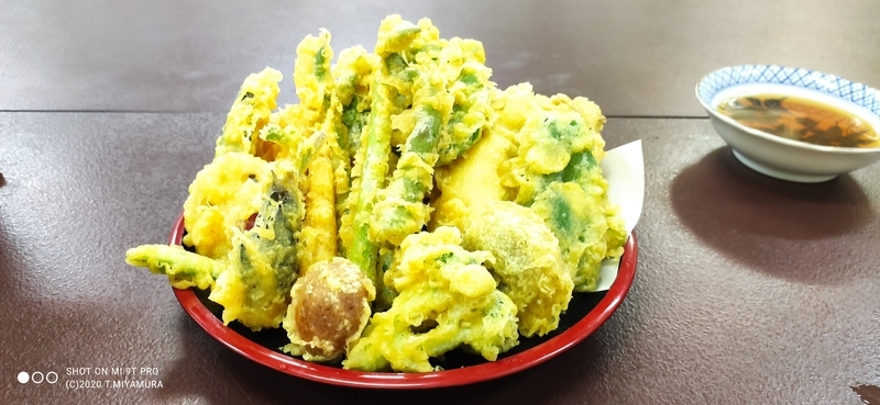 f:id:bunya-tamaki:20201014190647j:plain