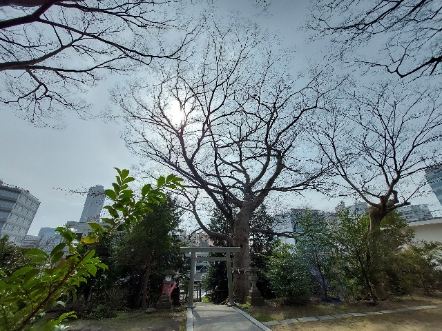 f:id:bunzuirono-dena:20220408212233j:image f:id:bunzuirono-dena:20220408212233j:image