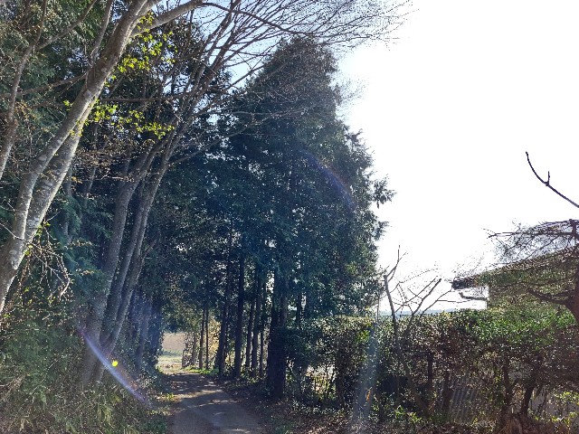 f:id:bunzuirono-dena:20220412210326j:image f:id:bunzuirono-dena:20220412210326j:image