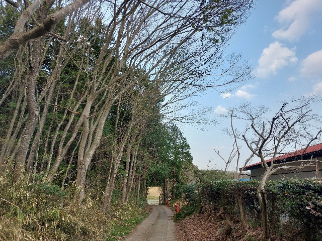 f:id:bunzuirono-dena:20220412212146j:image f:id:bunzuirono-dena:20220412212146j:image