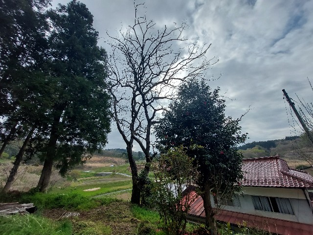 f:id:bunzuirono-dena:20220420213133j:image f:id:bunzuirono-dena:20220420213133j:image