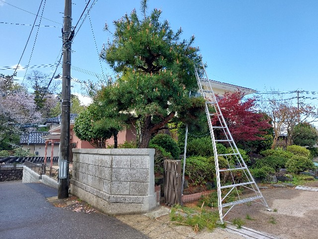 f:id:bunzuirono-dena:20220423071920j:image f:id:bunzuirono-dena:20220423071920j:image