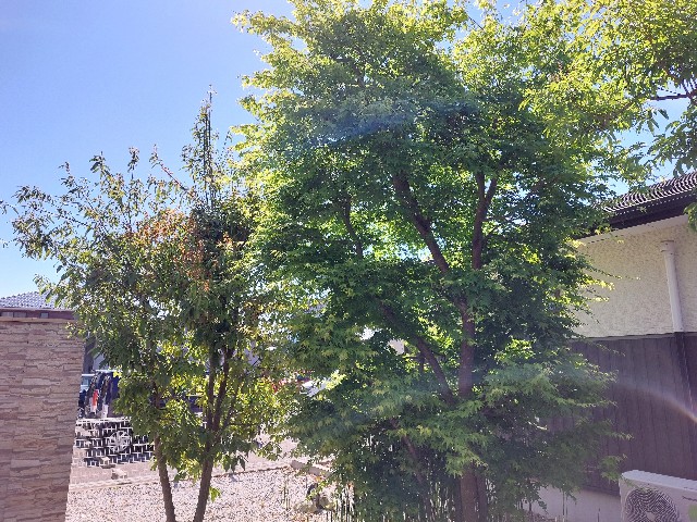 f:id:bunzuirono-dena:20220513182911j:image f:id:bunzuirono-dena:20220513182911j:image