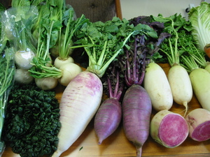 f:id:buonpaese:20030125141005j:image:left f:id:buonpaese:20030125141005j:image:left