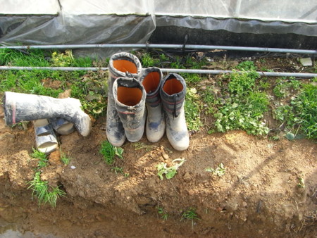 f:id:buonpaese:20080123124024j:image