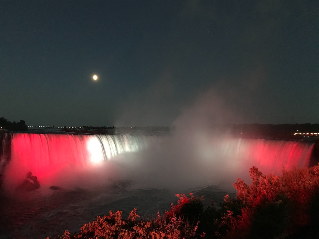 f:id:bupbup:20210206075048j:image