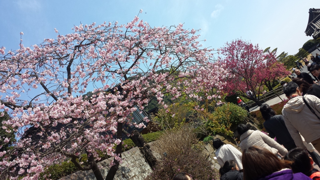 f:id:burakomi:20170428233856j:plain