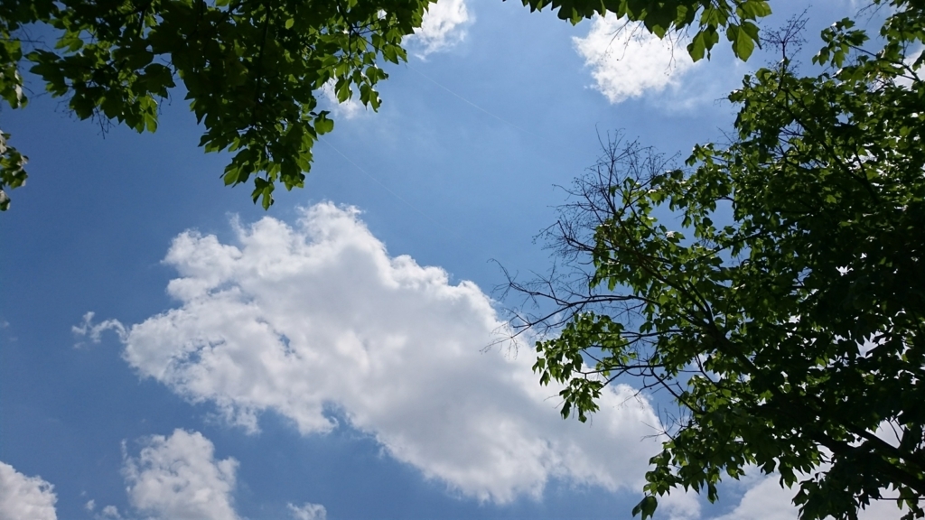 f:id:burakomi:20170611113532j:plain