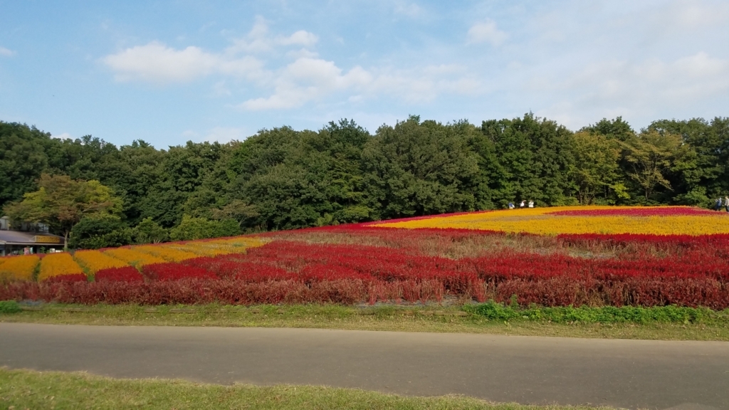 f:id:burakomi:20171022221249j:plain
