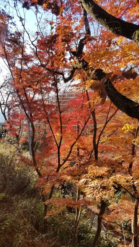f:id:burakomi:20171203170334j:plain