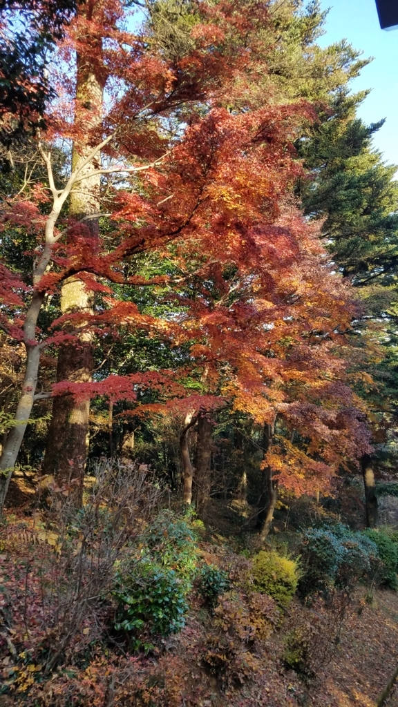 f:id:burakomi:20171203171624j:plain
