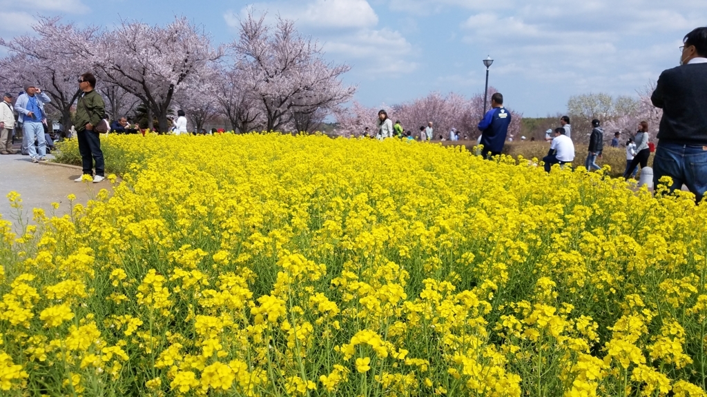 f:id:burakomi:20180404222552j:plain