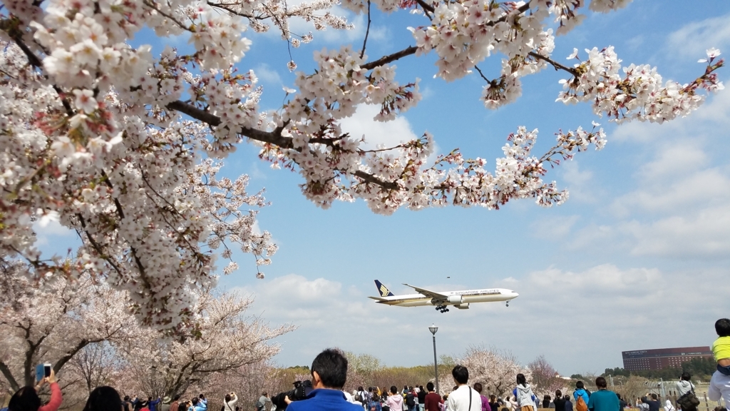 f:id:burakomi:20180404223001j:plain