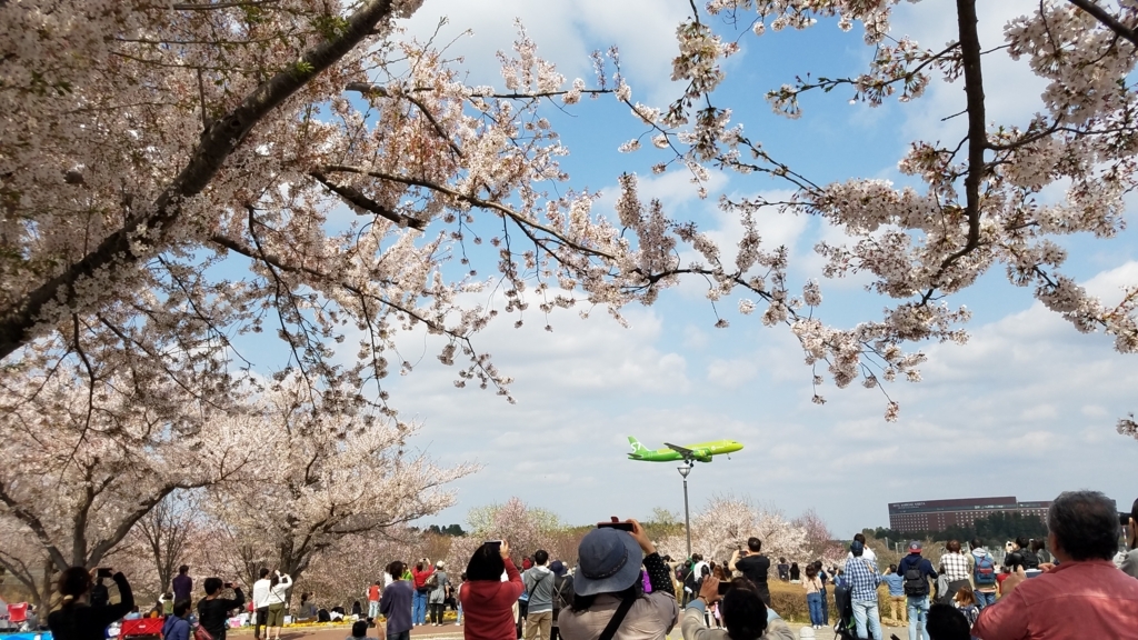 f:id:burakomi:20180404223039j:plain