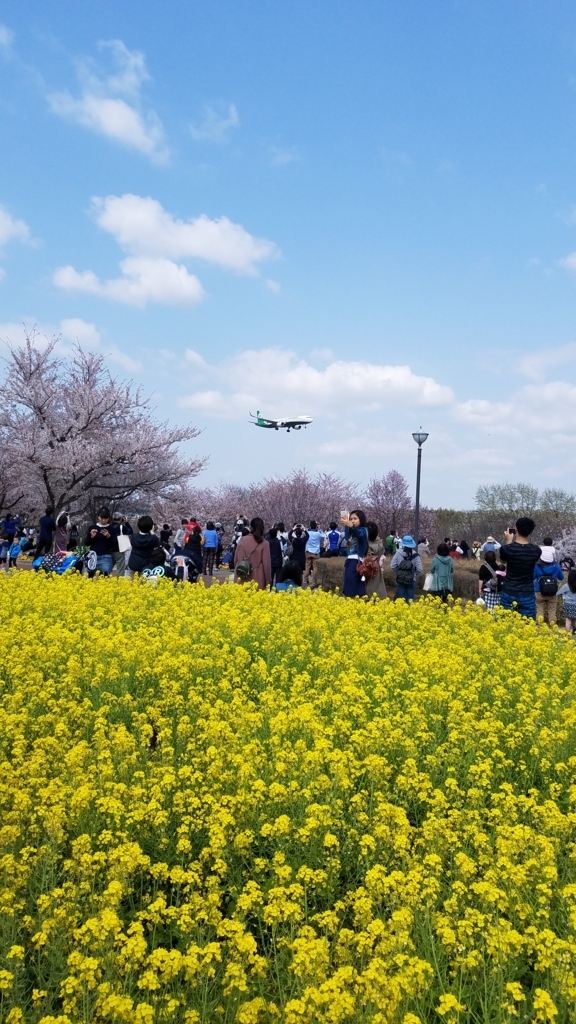 f:id:burakomi:20180404223201j:plain